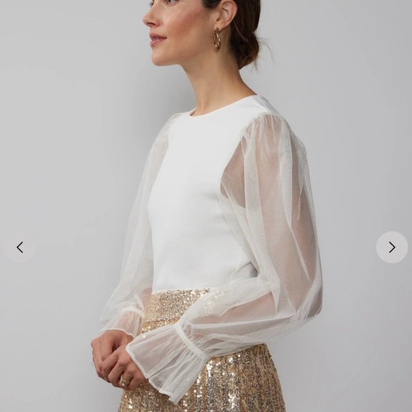 NWT Long Glitter Tulle Sleeve Top - Picture 2 of 3